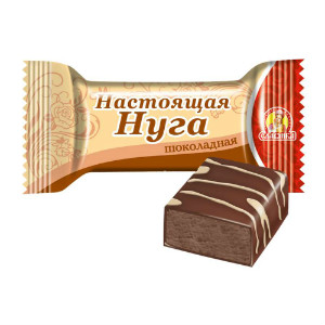  в Пущино